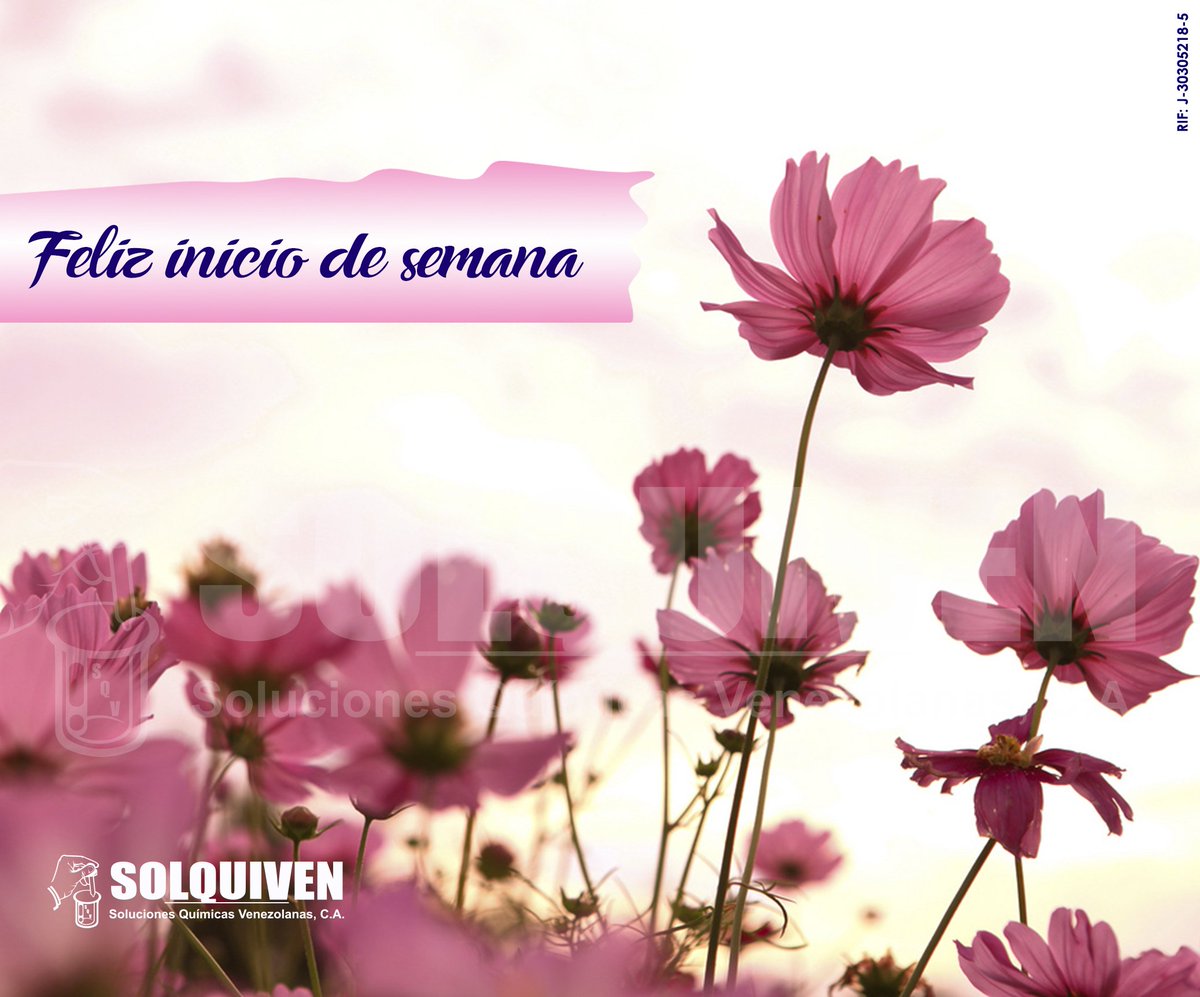 Asumamos la vida con coraje y alegría. Cada día tenemos la oportunidad de disfrutar los momento más simples. Es cuestión de actitud. ¡Renuévate, vive y sonríe!   #Solquiven #Compartir #LaVidaEsHoy 
#Bienestar #Positivos #CosasSimples #MomentosEspeciales