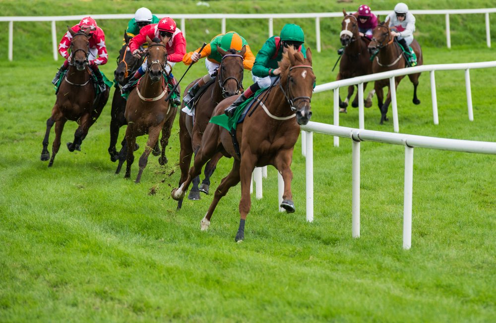 Sky Racing World re-launches New Zealand racing product to North American market...
