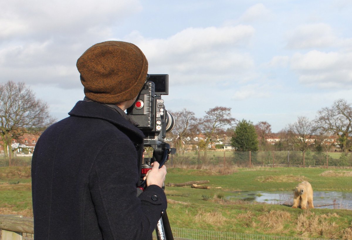 The Search For the Polar Bear (Documentary) (@hbmfilm) on Twitter photo First day of filming at <a href="/YorkshireWP/">Yorkshire Wildlife Park 🦁</a>, in advance of our first shoot in Svalbard during April/May 2018 - Website searchforthepolarbear.com coming soon in February. First day of filming at <a href="/YorkshireWP/">Yorkshire Wildlife Park 🦁</a>, in advance of our first shoot in Svalbard during April/May 2018 - Website searchforthepolarbear.com coming soon in February.