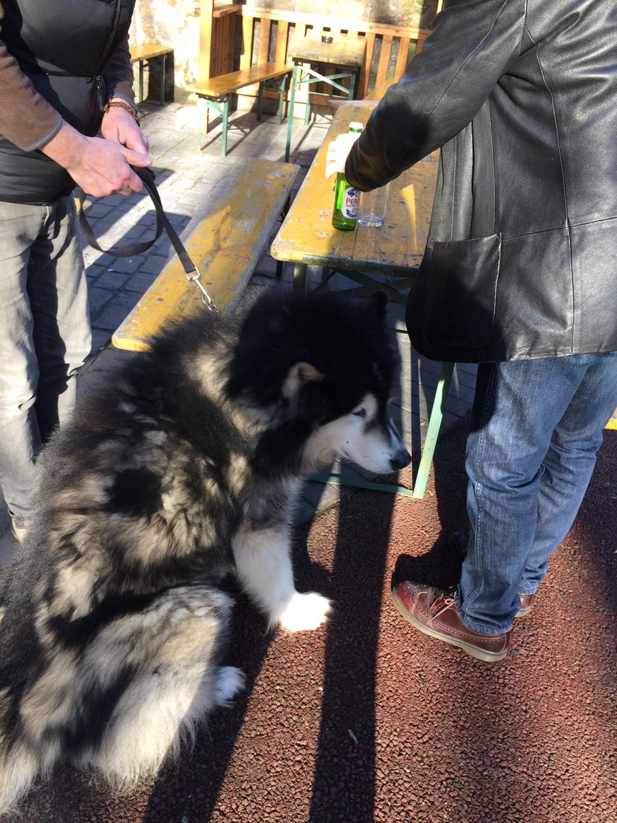 WoofDogBeer's tweet photo. My co model today for Cheers Magazine . @CheersMag https://t.co/wkApYtmO9N