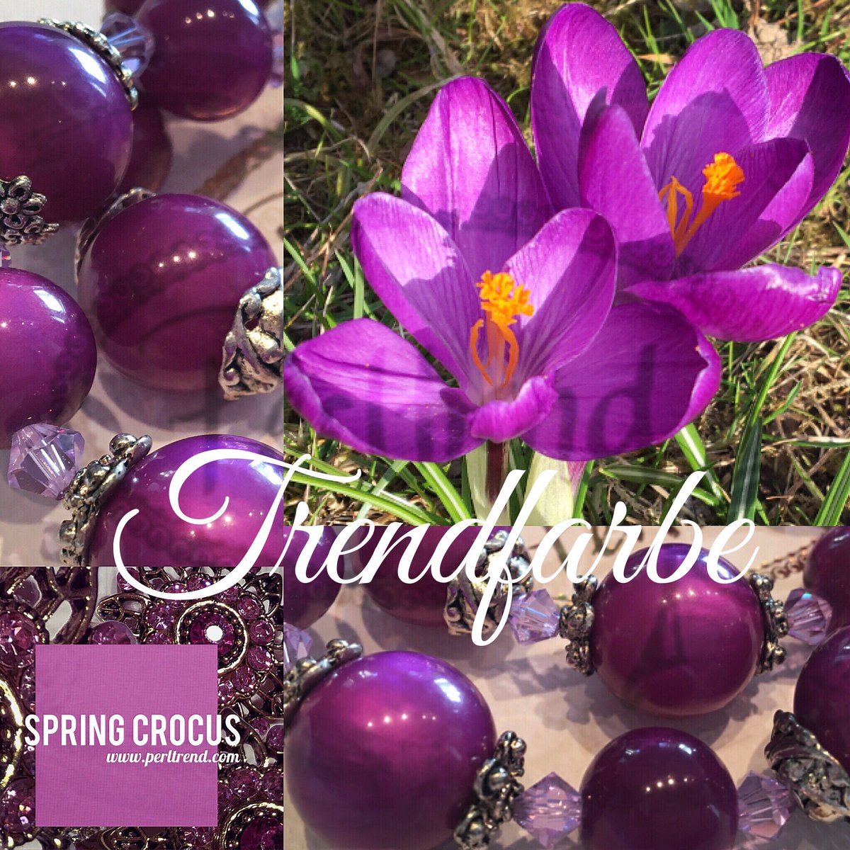 Perltrend's tweet photo. Trendfarben Frühjahr 2018 💐Spring Crocus💐
https://t.co/jY2xnfGCrM
https://t.co/e5vuOUg3br
#fashion #colors #report #mode #trend #farben #frühjahr #spring #perltrend #luzern #schweiz #schmuck #jewellery #jewelry #fashionblogger #fashionista l#design #inspiration #crocus https://t.co/EKhGrJqq3v