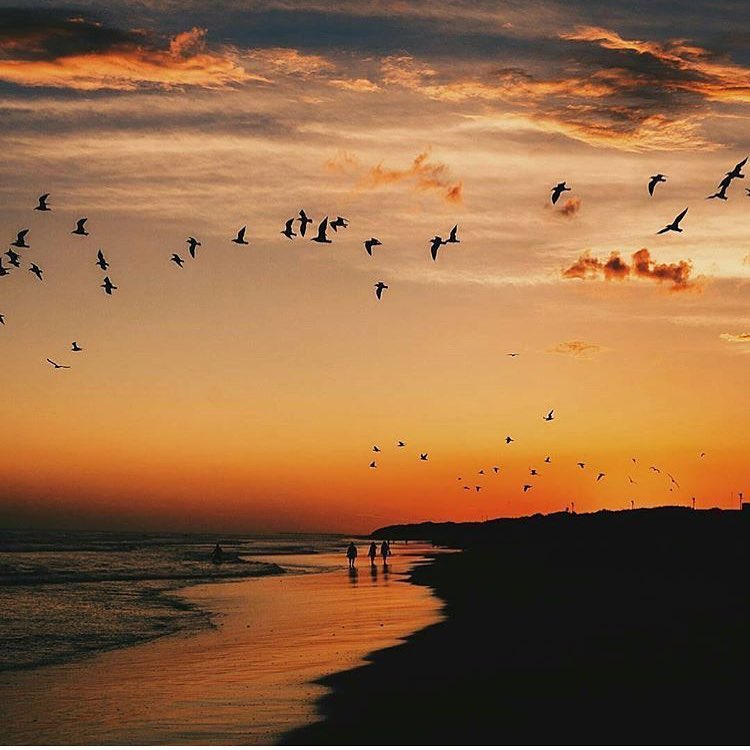 TripinArgentina's tweet photo. Los atardeceres de Necochea!  Momento para enamorarse del destino de la costa atlántica ❤️ Ph @emablom 🙌vía @necocheaarg 🔝.
.
#necochea #atardecer #sunset #argentina #viviargentina #amazingplace #world_great #mar #oceano #horamagica #goldenhour .
.
Tag #TripInArgentina https://t.co/9uvgPdQ8So