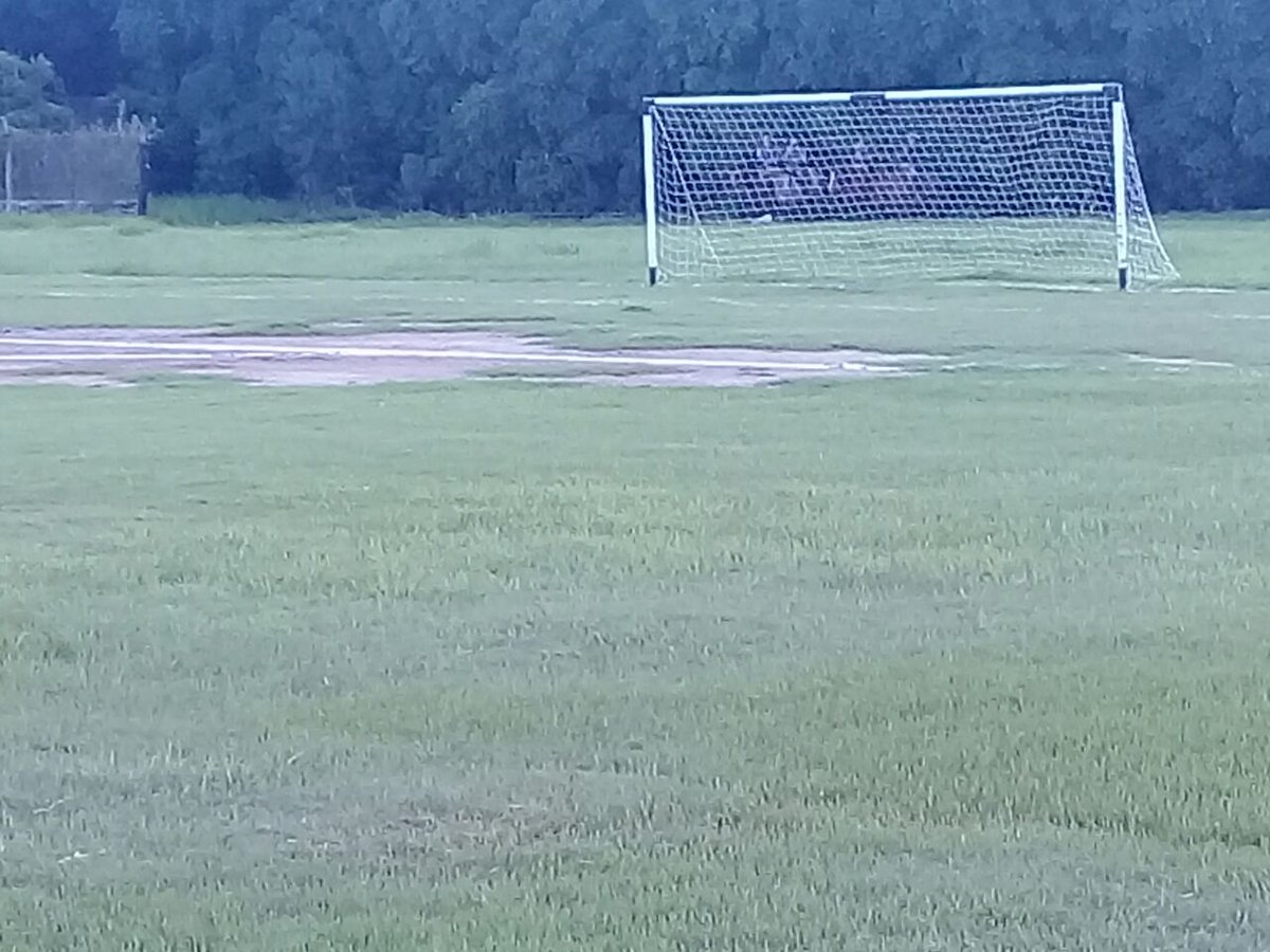 elaguante899's tweet photo. FederalC #Zona11 #Fecha1

Así se encuentran la cancha de Sp. Zapallar donde #Falucha realiza de local está tarde jugará frente @DonOrioneAC.

PH: Alfredo Baez https://t.co/M5RDqH6ECL