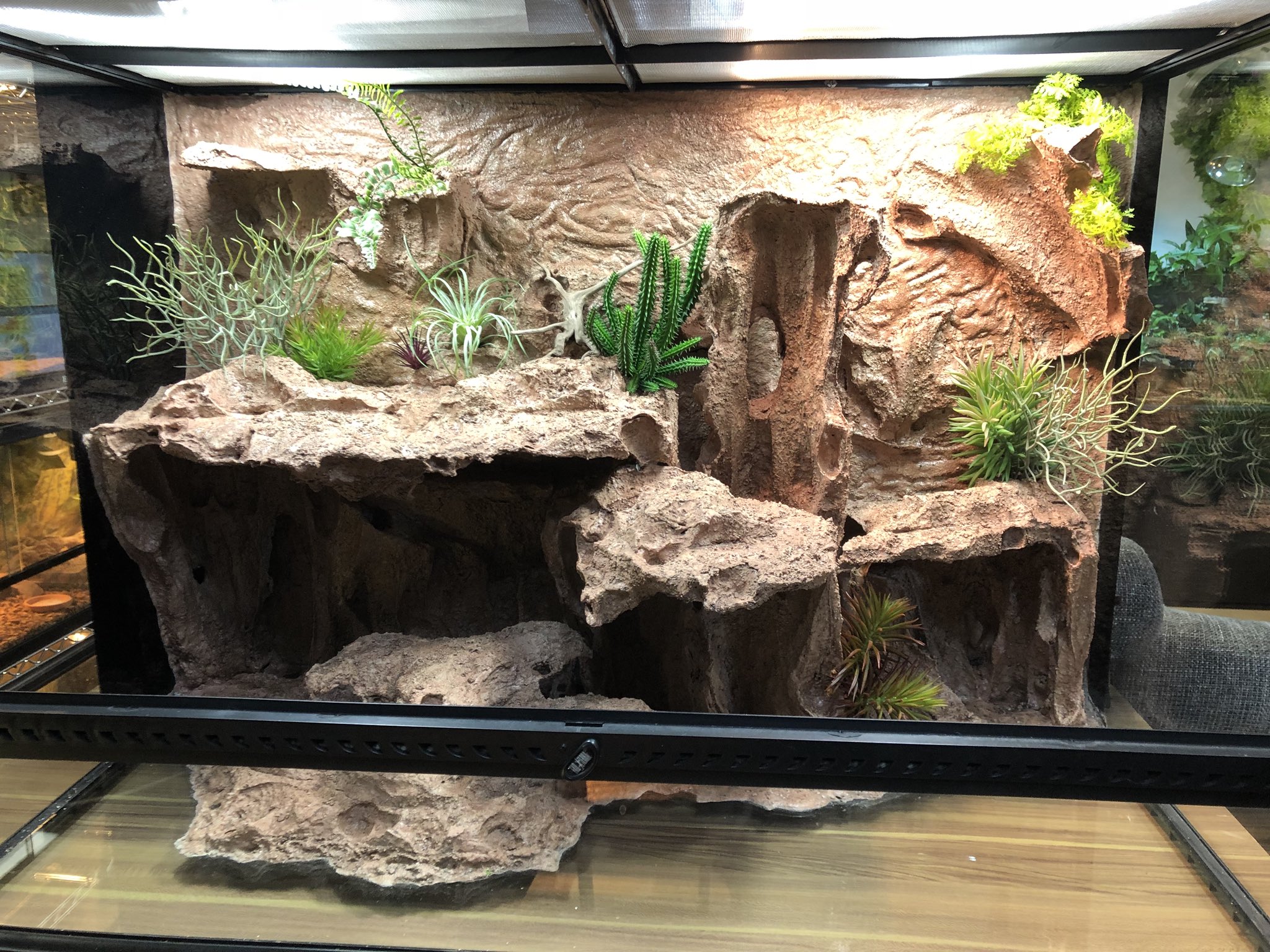 【引き取り限定】グラステラリウム9060 GEX グラステラリウム9060 爬虫類ケージ 引き取り dショッピング