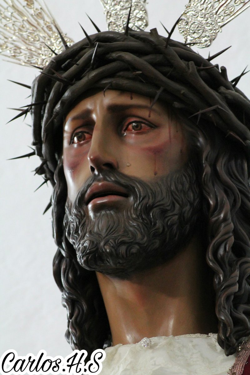 Únicamente 8 lunes para verte recorrer las calles de Cáceres repartiendo Salud bajo la luz de la Estrella!!