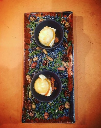 elements princeton tweet media