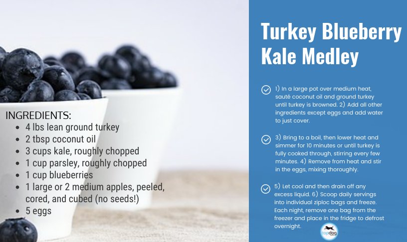 TopDogHealth's tweet image. #Natural #Recipes for #Arthritic #Dogs Day #4:
Turkey Blueberry Kale Medley
bit.ly/tdcook1