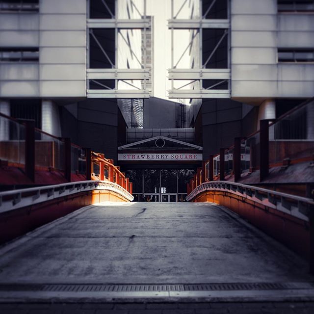 Freshidoco's tweet image. Strawberry Square (where we call home) is a pleasant surprise in the center of the city. 

Photo via tonyknightengale