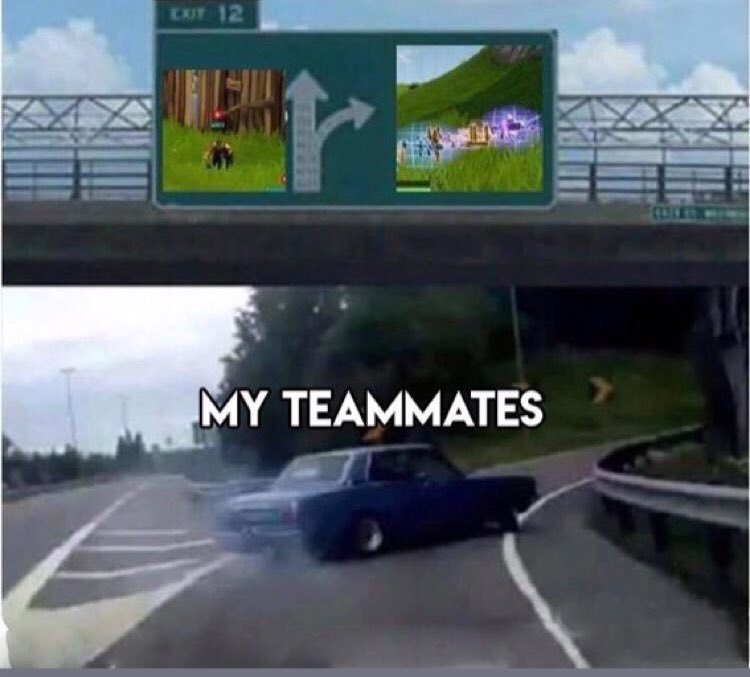 turtlepied's tweet image. 