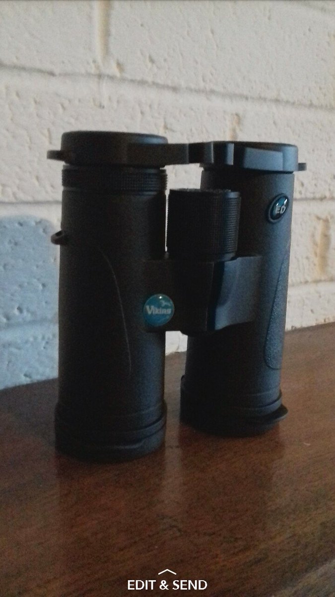 VIKING PEREGRINE | Gear | Bird Watching