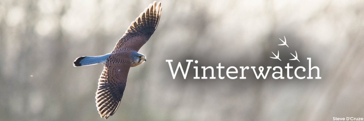 CultureCotswold's tweet photo. @BBCSpringwatch looking forward to tonight #WinterWatch #NatureFirst #ChrisPackham #BirdWatching #VisitCotswolds #Cotswolds_Culture https://t.co/M0QY6trAip