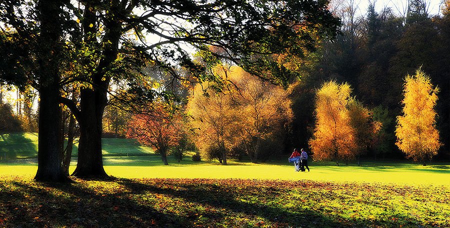negolfer's tweet photo. Pride of Prudhoe #courseprofile @PrudhoeGolfClub https://t.co/zqTqiv5r9o https://t.co/KB6kB31nu6