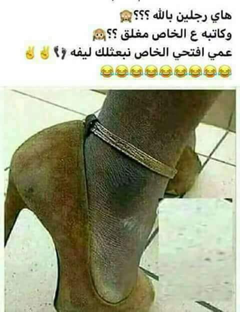 halems8's tweet image. 