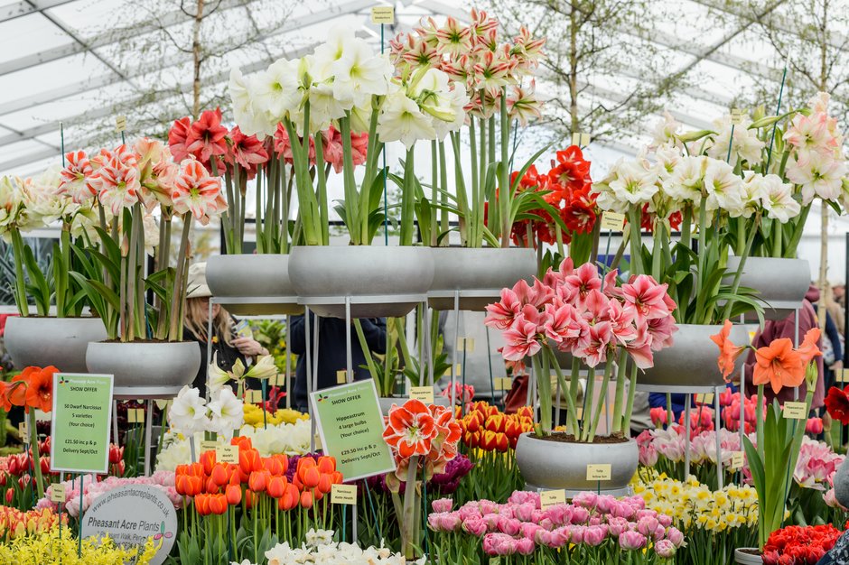 The line-up for this year's RHS Flower Show Cardiff has just been announced! 

Come and explore the new "Regeneration Gardens" or visit the beautiful Floral Marquee and Plant Village!

For more info or to buy advance tickets visit rhs.org.uk/cardiff 

#RHSCardiff #Cardiff