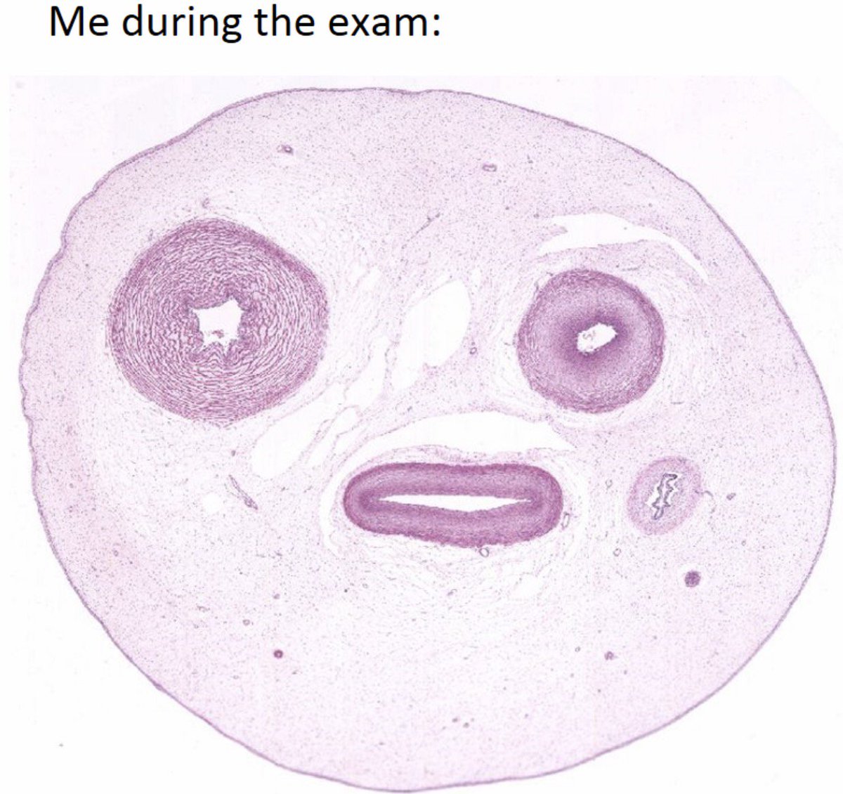 StudentDoctorMD tweet media