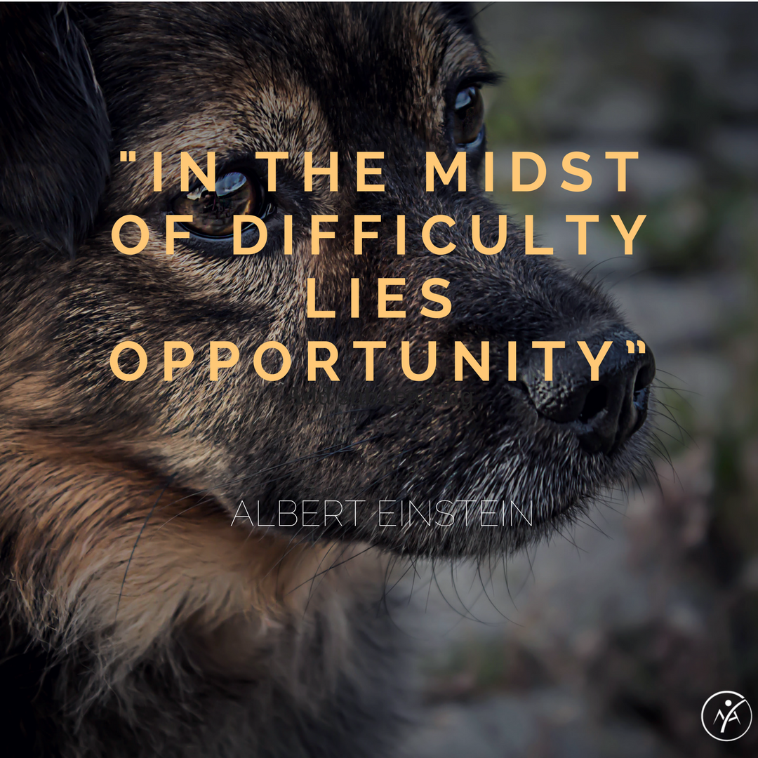 mindassociates's tweet photo. #mondaymotivation #AlbertEinstein https://t.co/RD7wY3Lxbo