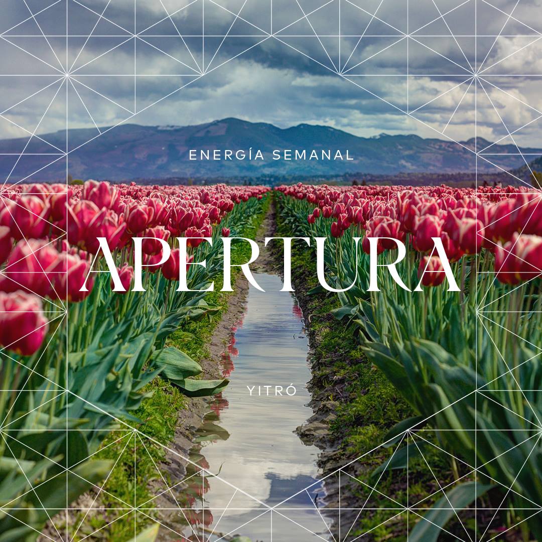 Cuando nos volvemos expertos en ciertas áreas, es fácil cerrarse a nuevas maneras de pensar. Recibimos el apoyo para disminuir las barreras impuestas por nuestro ego y considerar otros enfoques. Podemos lograr una transformación espectacular simplemente al permanecer abiertos.