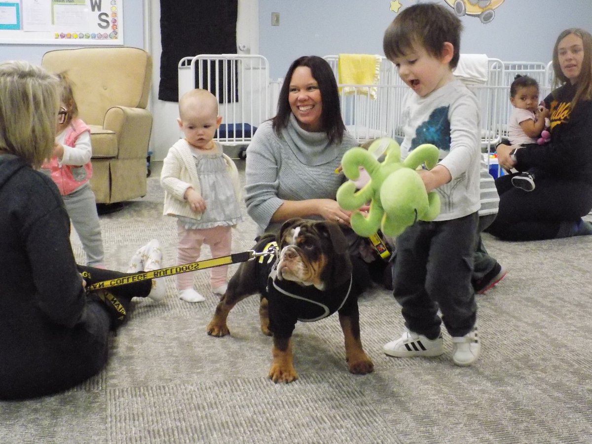 ACBabyBulldogs's tweet photo. @ACBabyBulldogs had a play date with Bruiser today! https://t.co/lswZozkybd