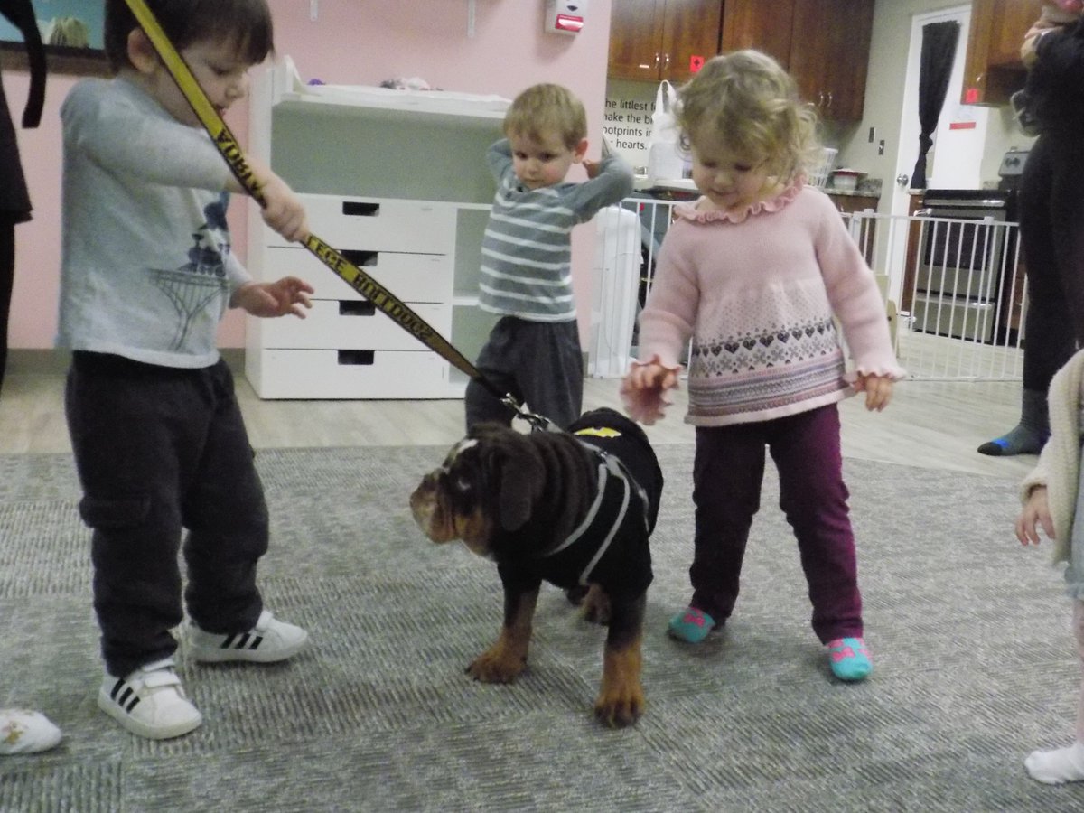 ACBabyBulldogs's tweet photo. @ACBabyBulldogs had a play date with Bruiser today! https://t.co/lswZozkybd