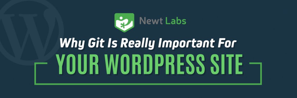 NetworkCEO's tweet photo. Why #Git Is Really Important For Your #WordPress Site (Infographic) https://t.co/xWeX5xKgZu via @NewtLabsUK https://t.co/jY9Ty295rI