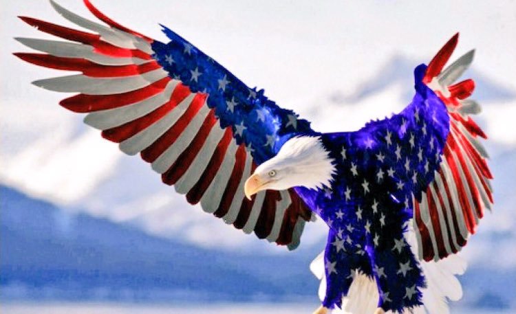 ChrisVa08675419's tweet photo. @ClintEastwoodLA @FBI @PeterStrzok Thank you Mr. Eastwood for shining the light on the unfortunate behavior of humans in this country that are in office America Strong https://t.co/v53hlAe5VY