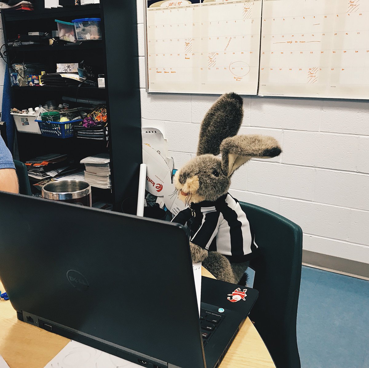 LIEViamonde tweet media