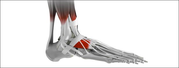 ContactOptimal's tweet photo. Having problems with your ankles/calves when you are doing exercise or after you have stopped. Come to #Optimalrecovery to get a diagnosis before it gets serious so you can get the treatment that you need! Give us a call to see what we can do for you #Injury #rehab #prehab https://t.co/E3wUA28W9A