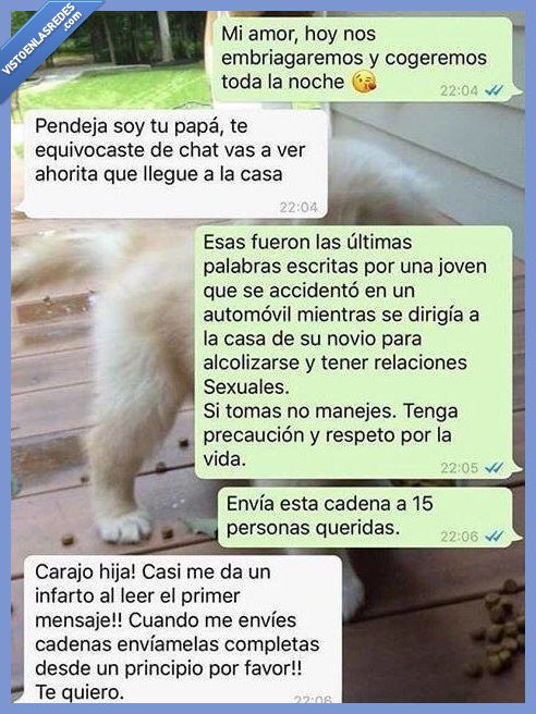 vistoenlasredes tweet picture