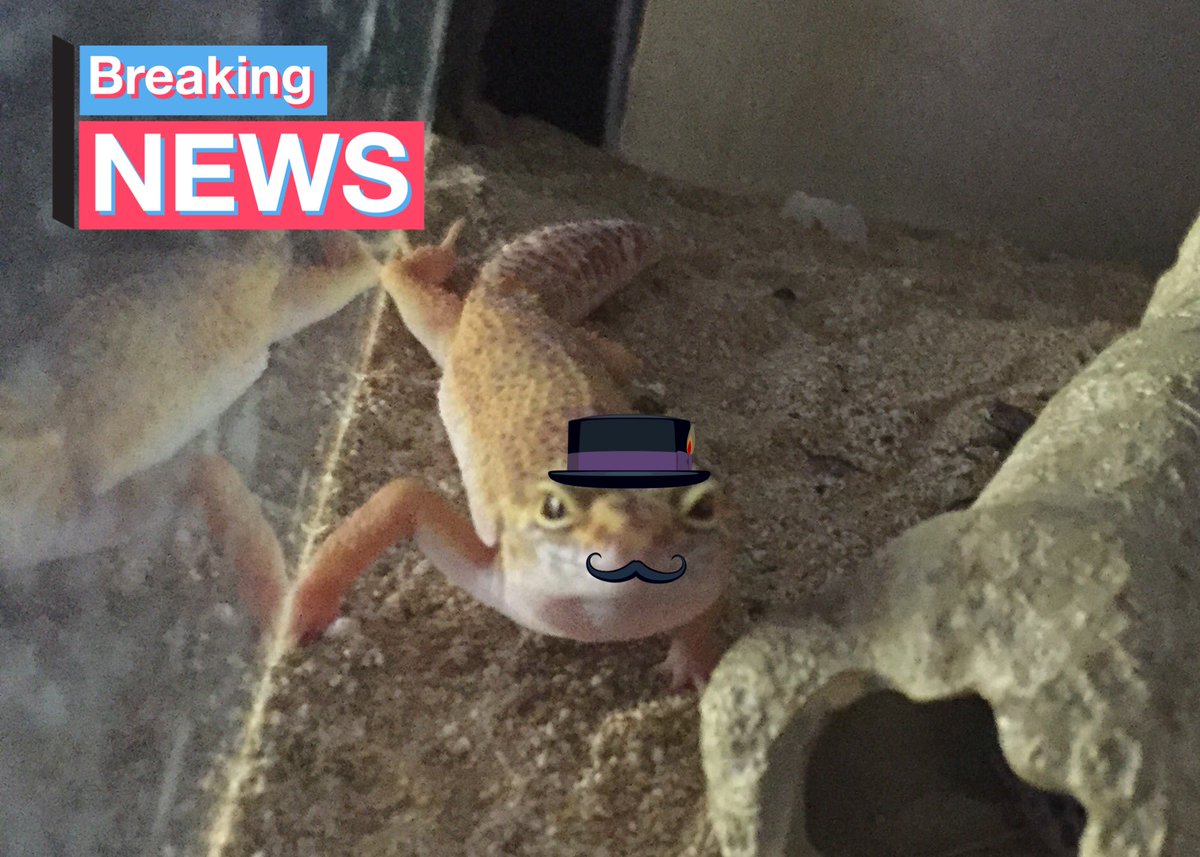 AP Environmental Science, Franklin High School tweet media