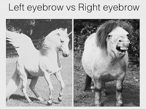 WinkThreading's tweet image. Uneven eyebrow problem? We&apos;ve got you covered! 🙋‍♀️💫💕  #browsonfleek #eyebrows #winkthreading #threading