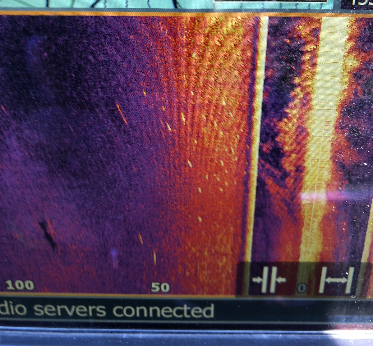 joeyfishing's tweet photo. Structure Scan side scan is the key to finding schools of winter bass! #countthedots #bassfishing #winterfishing #alabamafishing #structurescan #lowranceelectronics
@LowranceFishing https://t.co/JHz6r1J1zh