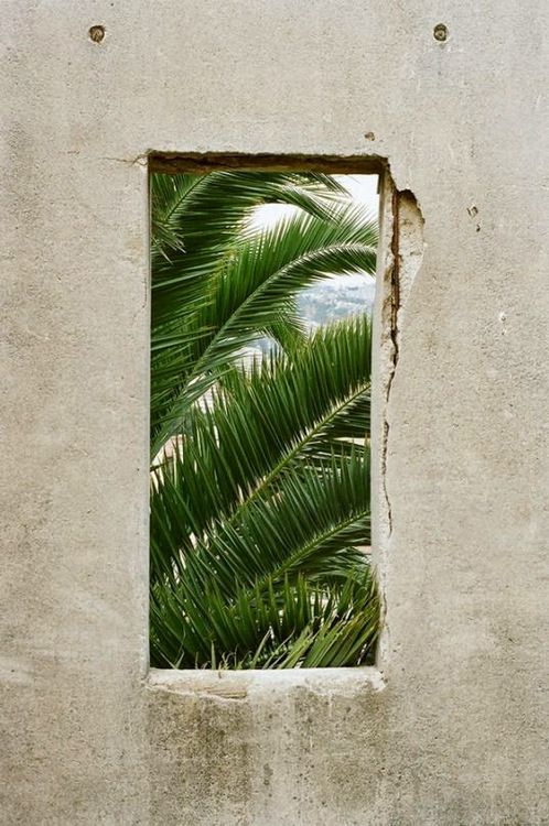 _nativecolor's tweet photo. A window into a new year. #NativeColor #WearNatural https://t.co/qXkaRGfhIg https://t.co/hARtvqzJ2X