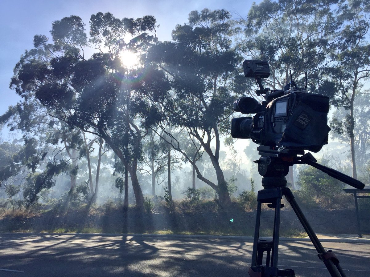 HaydnXing's tweet image. #bushfire in @kingspark_wa @9NewsPerth