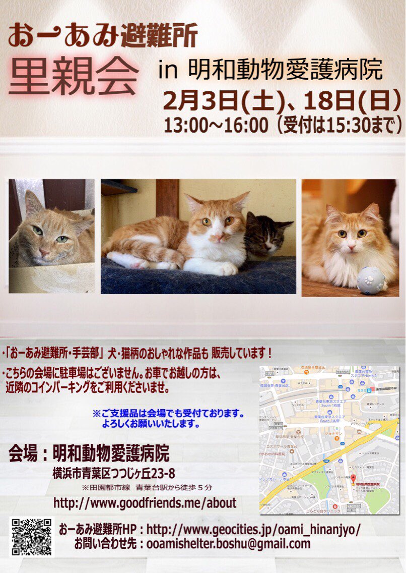 おーあみ避難所 2月の里親会のお知らせ 日時 2月3日 土 2月18日 日 13時 16時 受付15時半まで 会場 明和動物愛護病院 可愛い猫たちが家族募集中ですよ カレンダーも販売中です お待ちしております