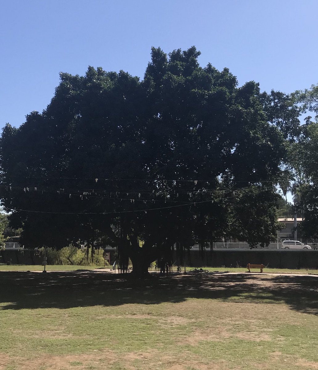 imeldacastromx's tweet photo. La belleza natural de la #IslaDeOraba se derrocha esta tarde esperando la visita de @lopezobrador_ No faltes te esperamos #JuntosHaremosHistoria @riosrojoja @MeraryVillegas @sinaloagpmorena @MartinLuqueRoj2 @MariaLilia14 @Marinezyams @PaulMercado https://t.co/6UvKnZdAZw