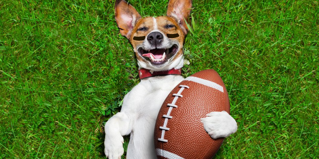 SidewalkDog's tweet image. Where can Minnesota dogs watch the Super Bowl? We found six pups-welcome parties: sidewalkdog.com/dog-friendly-s… 

#mpls #superbowl #dogfriendly
