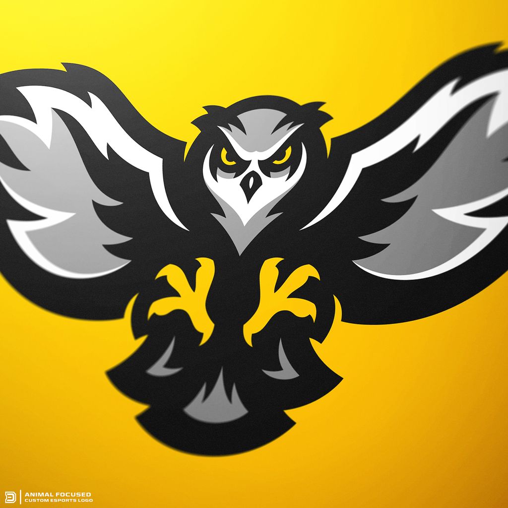 DaseDesigns tweet picture