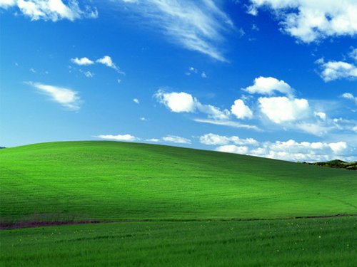 muertehorrible's tweet photo. https://t.co/CaG7MAayef