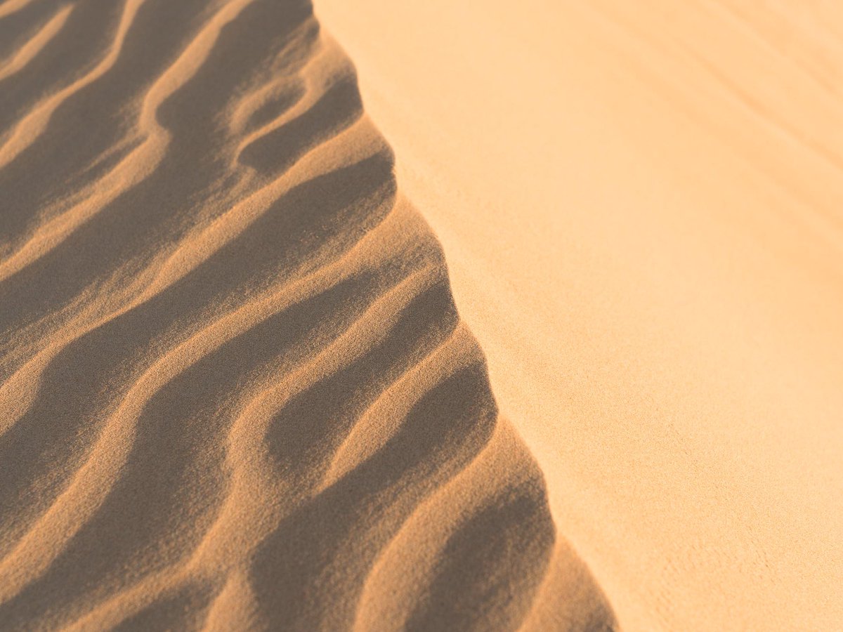 The Getaway Edit tweet media