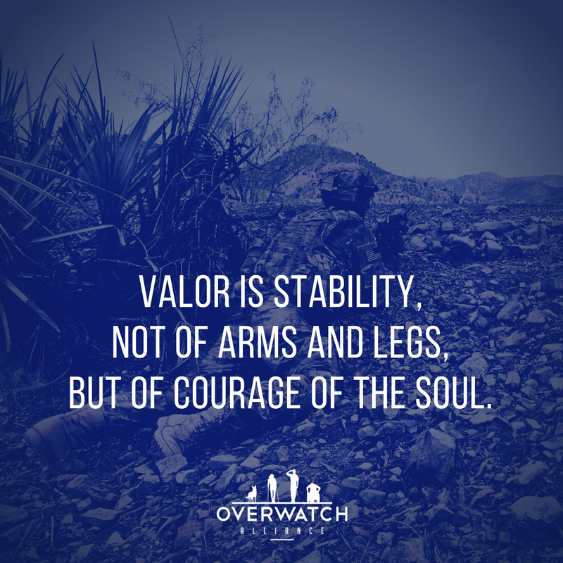 Overwatch Alliance tweet media
