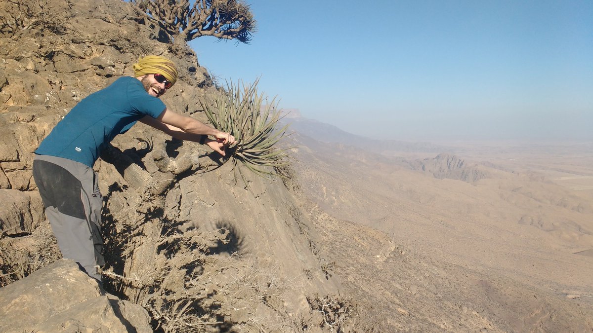 bio_carta's tweet photo. A privilege to have been part of another fantastic research expedition with @obgplants funded by @BritOmani. Significant progress towards a complete population census of the endangered Arabian dragon tree. Highlights include wolves, eagle rays, sunbird &amp; new friends in Dhofar. https://t.co/Y5Spd5cwyw
