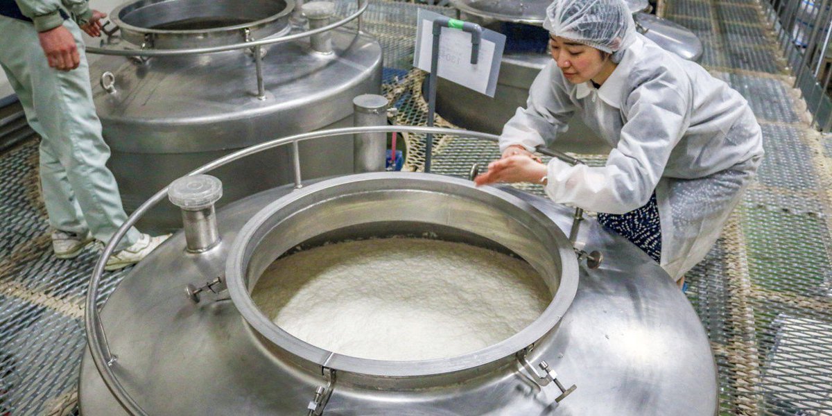 SakeToday's tweet photo. Sake fans in America. Konishi Shuzo's unique Edo Genroku is now available in the US! We wrote about the sake in our feature on this very old family brewery: https://t.co/ifUf3yLGuj (Retailers, CTC has it: https://t.co/L1wuGE5Qpn) https://t.co/xdQGSC2v9Q