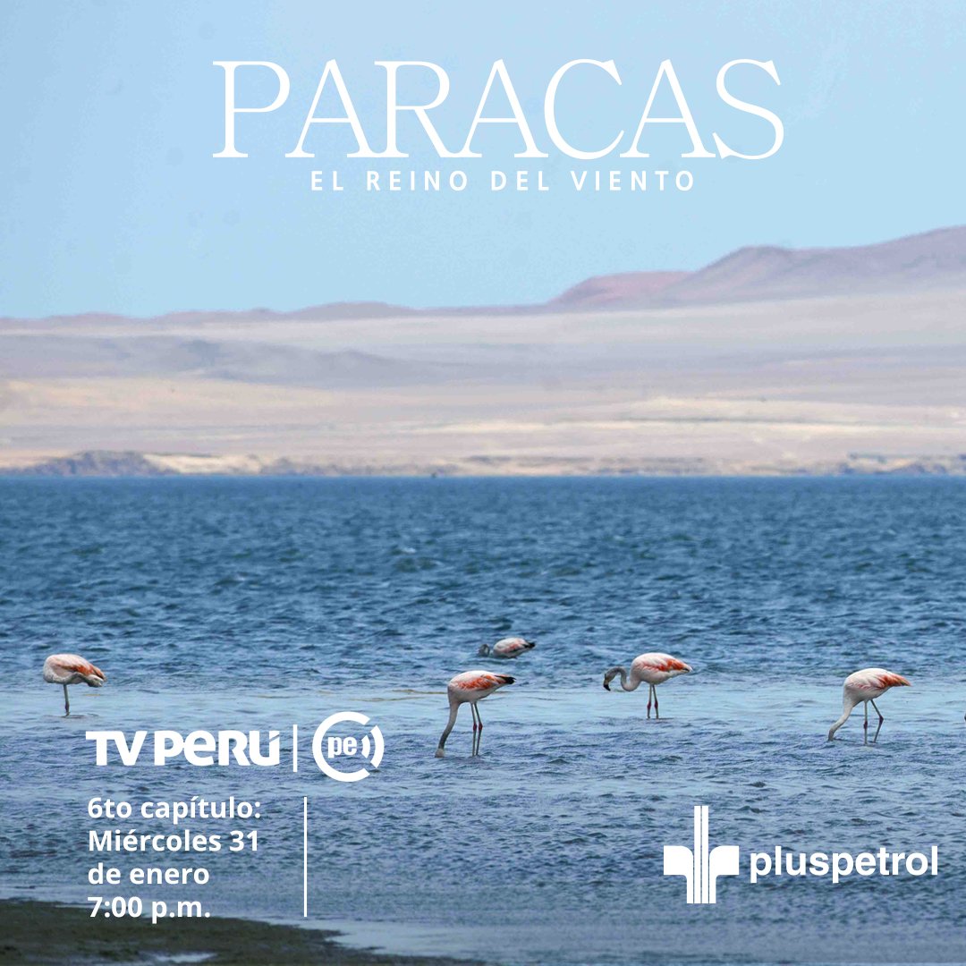 PluspetrolPeru's tweet image. ¡Viaja en el tiempo y descubre las riquezas que esconde "Paracas, el reino del viento" 🌊🌞! No te pierdas el último capítulo del documental en @TVPerú. Este miércoles 31 de enero a las 7 p.m.