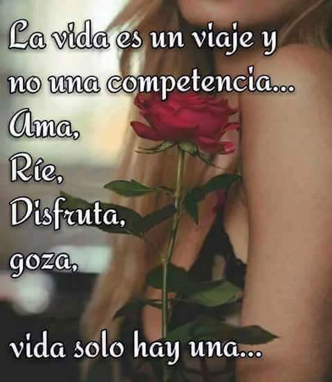 lola_Mar_Jav's tweet photo. @PMallagray @Solnuevodia @montse131958 @lolly_s10 @Las_Magas @EstherBenito9 @LadyLaura2610 @_Amy777 @furiatise1 @maricarmengar15 @AntonioTalaric @franmartin24 Que bonito Pilar... Vinimos para ser felices... A intentarlo, mejor dicho, A SERLO!
😘😘😘🤗🤗🤗🎶🎶🎶 https://t.co/85ZvAdIsau