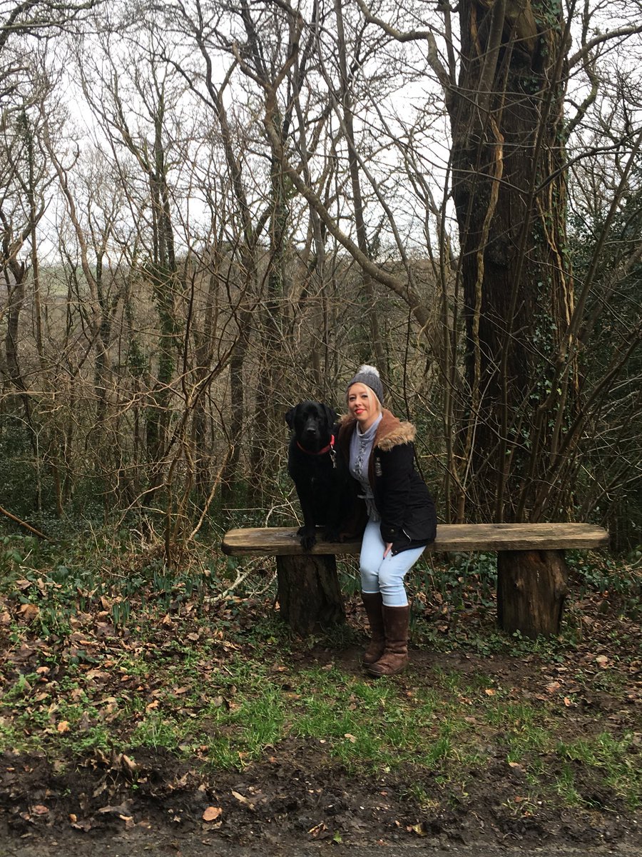 BeverleyASCF's tweet photo. Fantastic day @CoteheleNT. I highly recommend it for our four legged friends, my Charlie loved it x #labrador #family https://t.co/K6WQnIbciQ