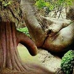 SexMexStud's tweet photo. Love nature https://t.co/EcXyr7tc2l