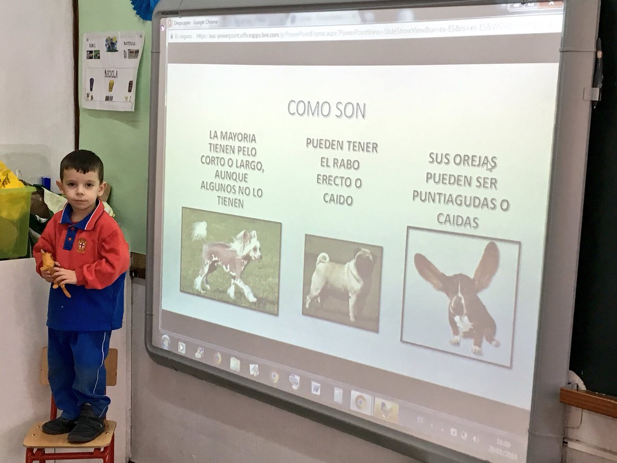 VdelRemedio's tweet image. #3años presentaciones #AprendizajeCooperativo #aprenderycompartir #Animales #cigüeña #osopolar #perros #osoperezoso #pizarradigital #Trinitarias #Alcorcón