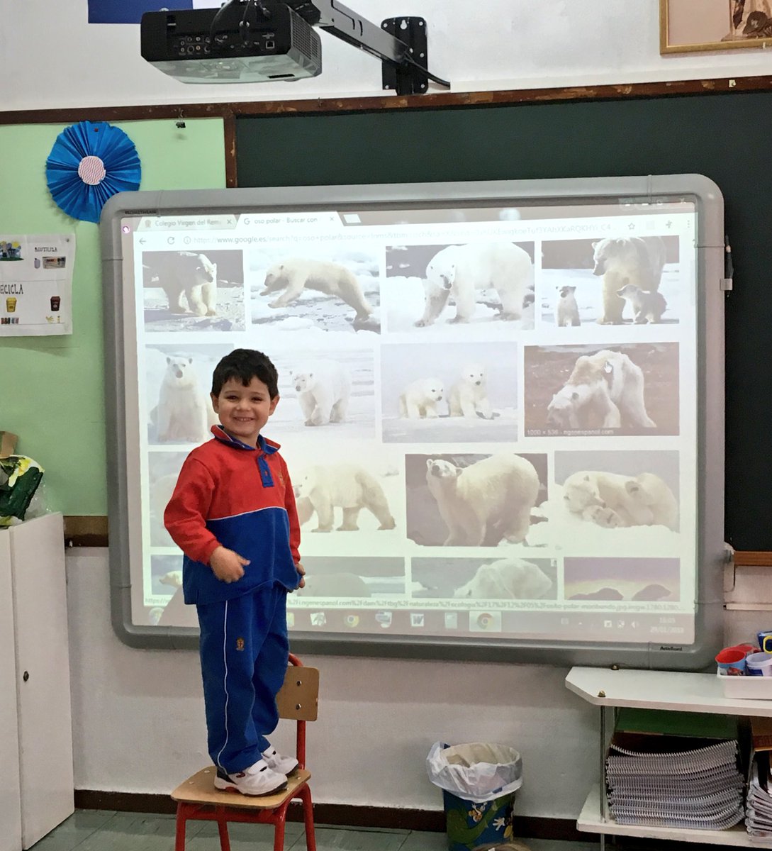 VdelRemedio's tweet image. #3años presentaciones #AprendizajeCooperativo #aprenderycompartir #Animales #cigüeña #osopolar #perros #osoperezoso #pizarradigital #Trinitarias #Alcorcón