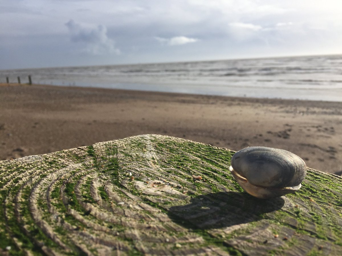 Love Worthing Life tweet media