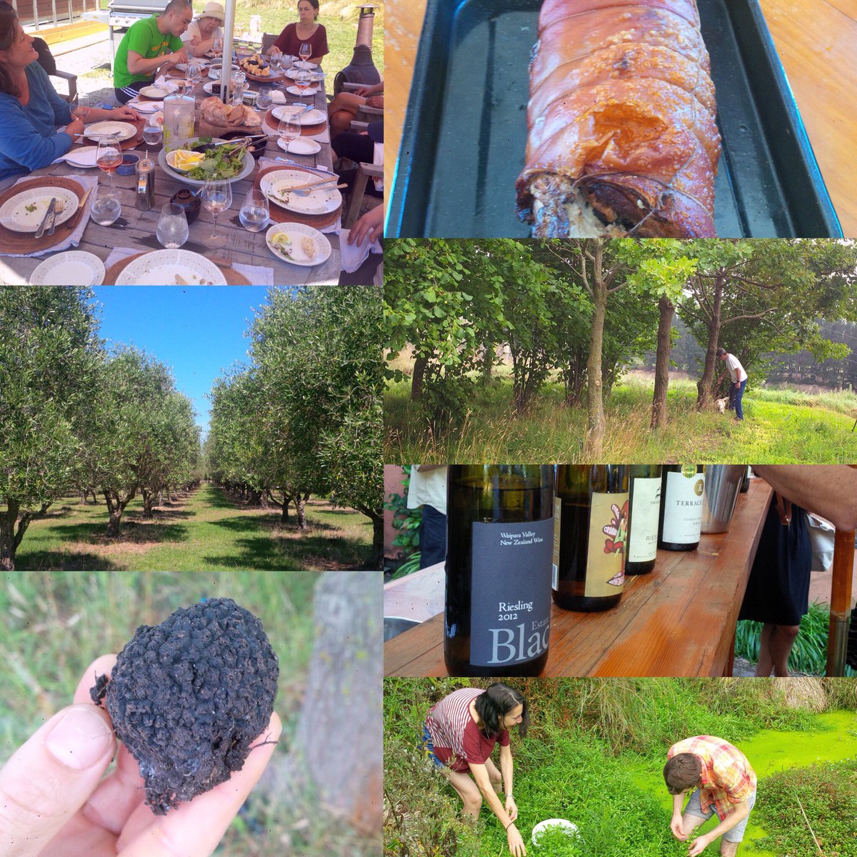 BellbirdSpring's tweet photo. A fun, food filled day hosting visitors in our region yesterday #foragenorthcanterbury https://t.co/NMIZrKeDi2